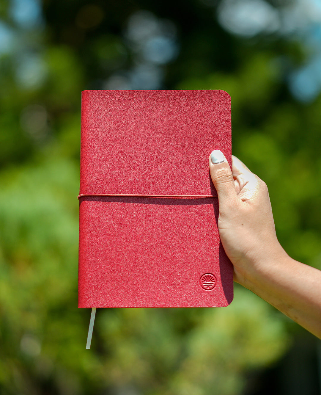 Sundays Journal Outside Edition